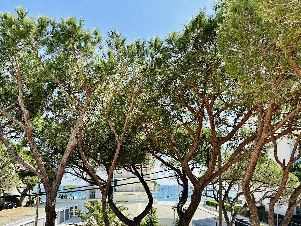펜션 플라티야 다로 Brisa Costabravasi 빌라